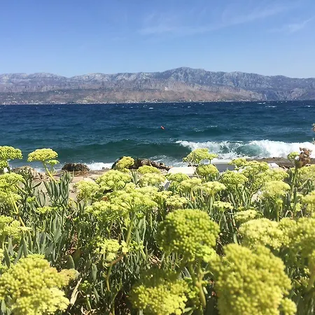 Brac * Splitska